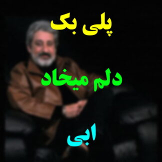 پلی بک دلم میخواد ابی