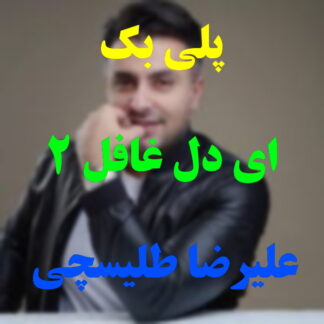 پلی بک ای دل غافل علیرضا طلیسچی