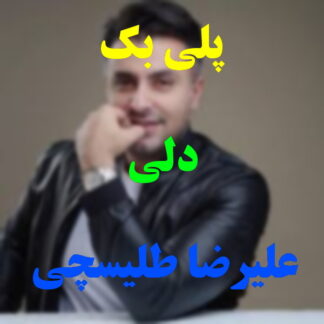 پلی بک دلی علیرضا طلیسچی