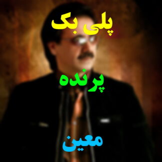 پلی بک پرنده معین