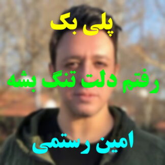 پلی بک رفتم دلت تنگ بشه امین رستمی