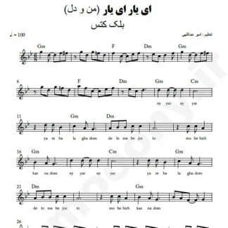 نت کیبورد ای یار ای یار بلک کتس