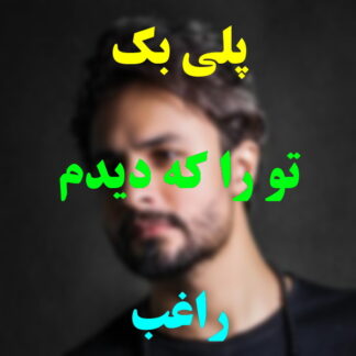 پلی بک تو را که دیدم راغب