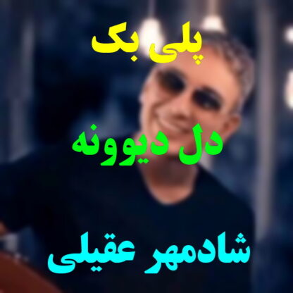 پلی بک دل دیوونه شادمهر عقیلی