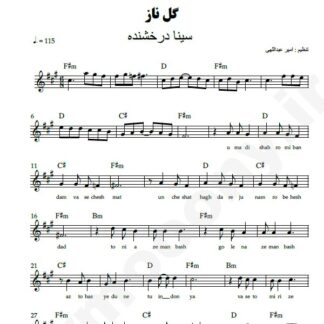 نت کیبورد گل ناز سینا درخشنده