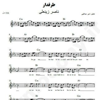 نت کیبورد طرفدار ناصر زینعلی