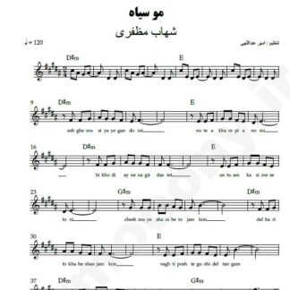 نت کیبورد مو سیاه شهاب مظفری