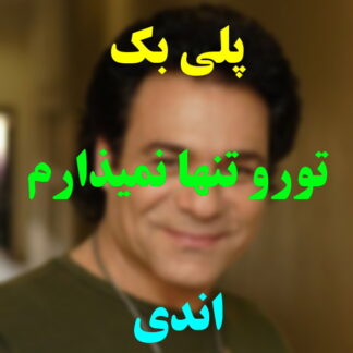 پلی بک تو رو تنها نمیذارم اندی