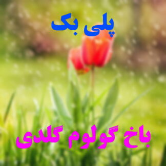 پلی بک باخ گولوم گلدی باهار