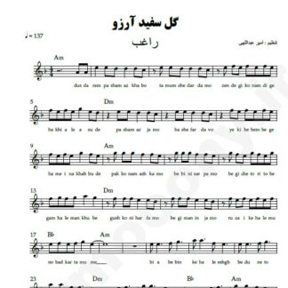 نت کیبورد گل سفید آرزو راغب