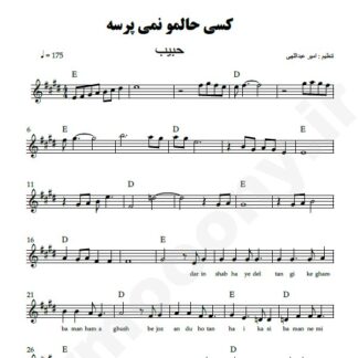 نت کیبورد کسی حالمو نمی پرسه حبیب
