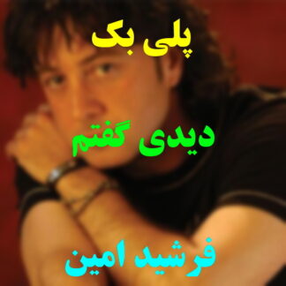 پلی بک دیدی گفتم فرشید امین