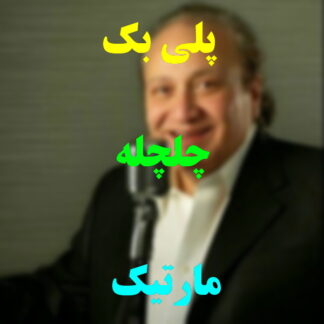 پلی بک چلچله مارتیک
