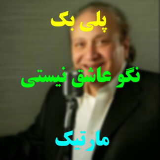 پلی بک نگو عاشق نیستی مارتیک