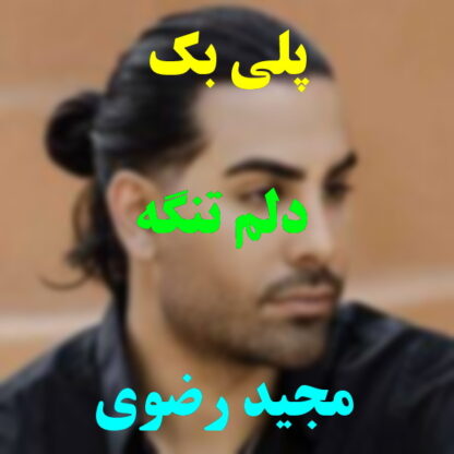 پلی بک دلم تنگه مجید رضوی