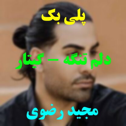 پلی بک دلم تنگه مجید رضوی