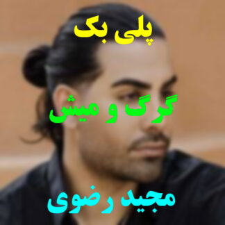پلی بک گرگ و میش مجید رضوی