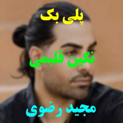 پلی بک نگین قلبمی مجید رضوی