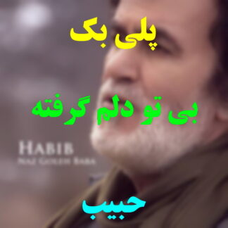 پلی بک بی تو دلم گرفته حبیب