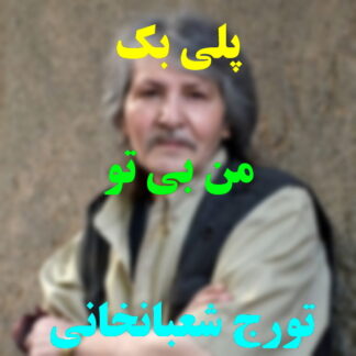 پلی بک من بی تو بهار بی تو تورج شعبانخانی