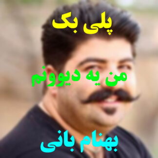 پلی بک من یه دیوونم بهنام بانی