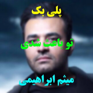 پلی بک تو باعث شدی میثم ابراهیمی