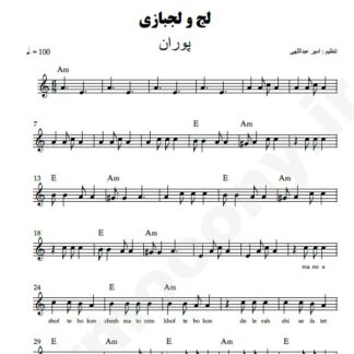 نت کیبورد لج و لجبازی پوران