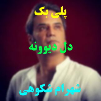 پلی بک دل دیوونه شهرام شکوهی