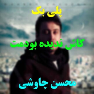 پلی بک کاش ندیده بودمت محسن چاوشی