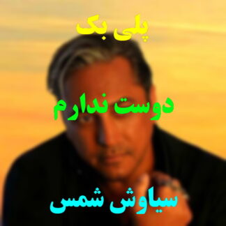 پلی بک دوست ندارم سیاوش شمس