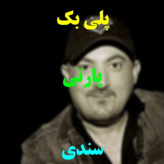 پلی بک پارتی سندی