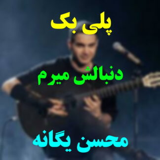 پلی بک دنبالش میرم محسن یگانه