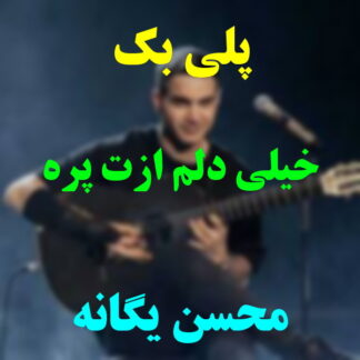 پلی بک خیلی دلم ازت پره محسن یگانه