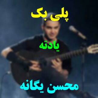 پلی بک یادته محسن یگانه