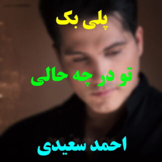 پلی بک تو در چه حالی احمد سعیدی