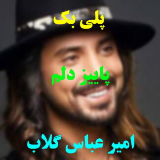 پلی بک پاییز دلم امیر عباس گلاب