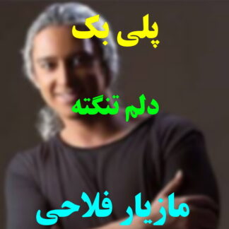 پلی بک دلم تنگته مازیار فلاحی