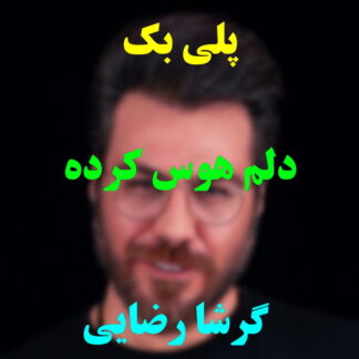 پلی بک دلم هوس کرده گرشا رضایی