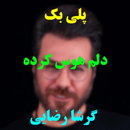 پلی بک دلم هوس کرده گرشا رضایی