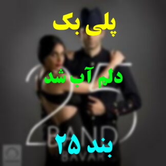 پلی بک دلم آب شد 25 بند