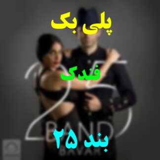 پلی بک فندک 25 بند