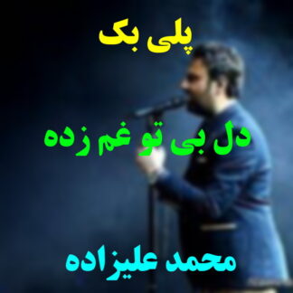 پلی بک دل بی تو غم زده محمد علیزاده
