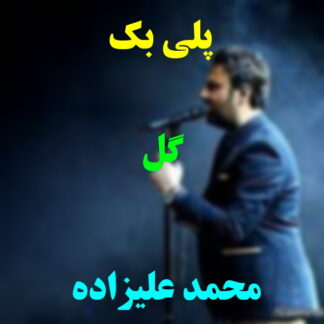 پلی بک گل محمد علیزاده