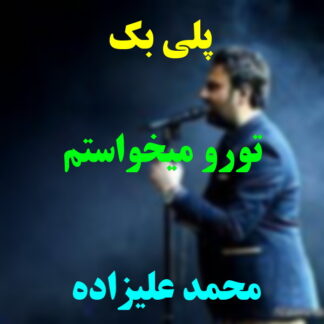 پلی بک تورو میخواستم محمد علیزاده