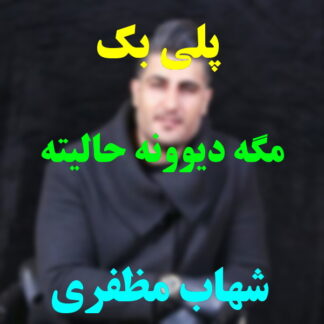 پلی بک مگه دیوونه حالیته شهاب مظفری