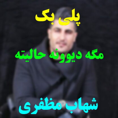 پلی بک مگه دیوونه حالیته شهاب مظفری