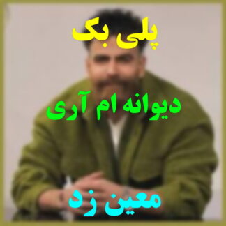 پلی بک دیوانه ام آری معین زد