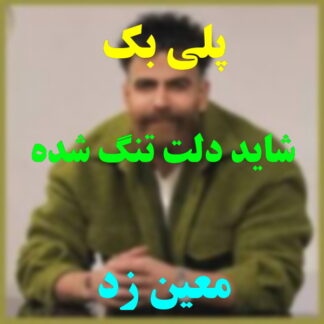 پلی بک شاید دلت تنگ شده توام معین زد