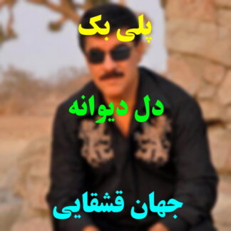 پلی بک دل دیوانه جهان