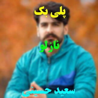 پلی بک نازلو سعید حسینی